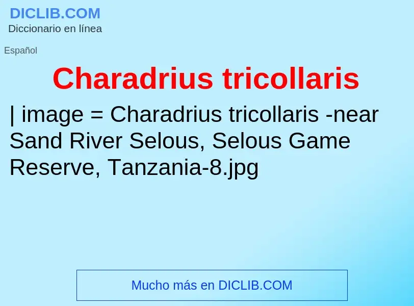 Τι είναι Charadrius tricollaris - ορισμός