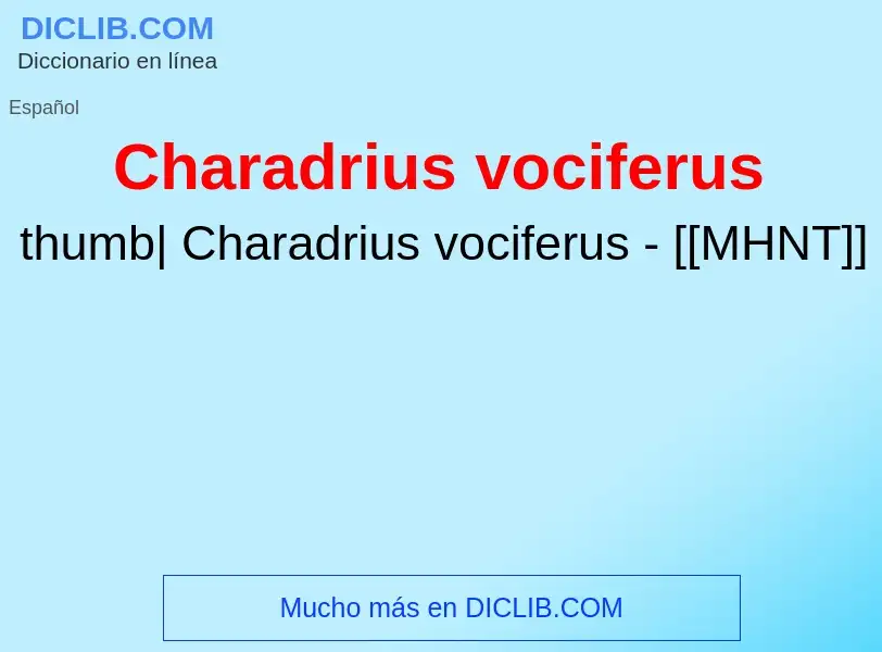 O que é Charadrius vociferus - definição, significado, conceito