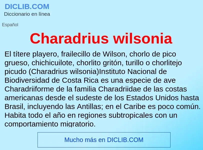 Что такое Charadrius wilsonia - определение