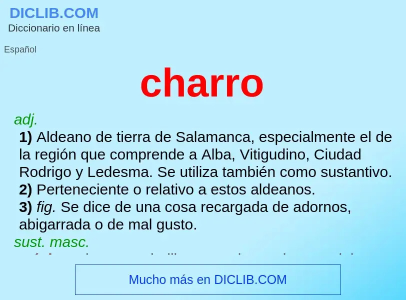 Was ist charro - Definition