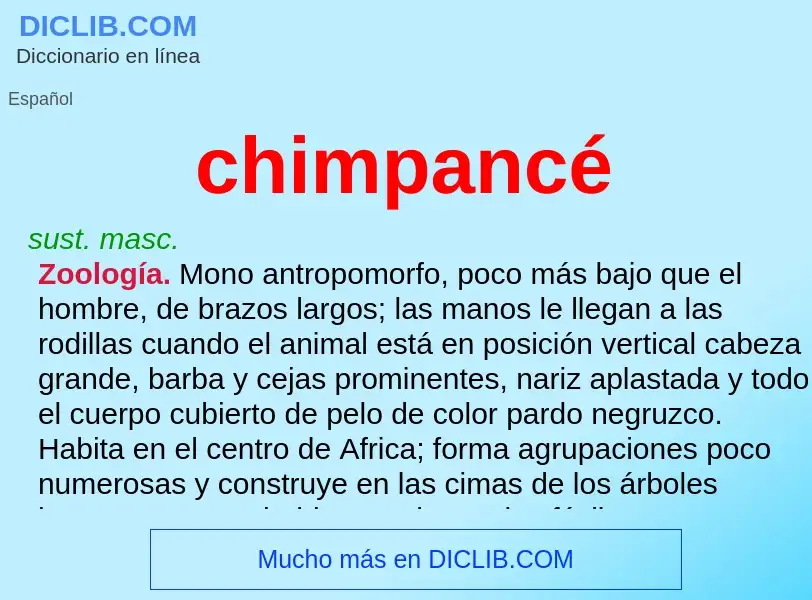 Wat is chimpancé - definition