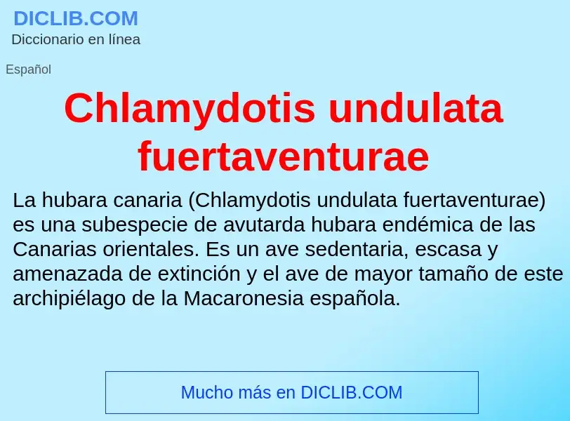 Что такое Chlamydotis undulata fuertaventurae - определение