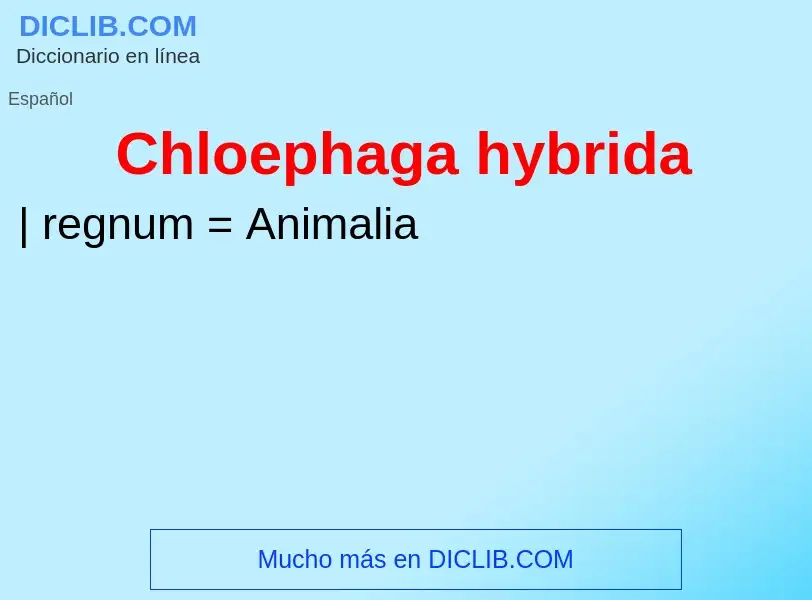 ¿Qué es Chloephaga hybrida? - significado y definición