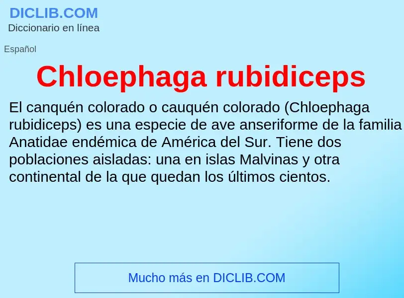 ¿Qué es Chloephaga rubidiceps? - significado y definición