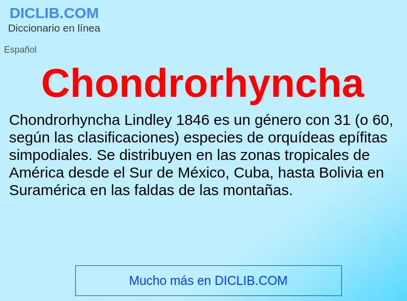 ¿Qué es Chondrorhyncha? - significado y definición