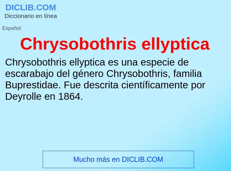 ¿Qué es Chrysobothris ellyptica? - significado y definición