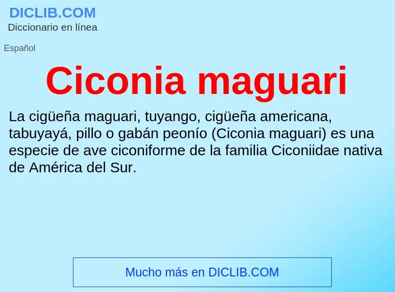 ¿Qué es Ciconia maguari? - significado y definición