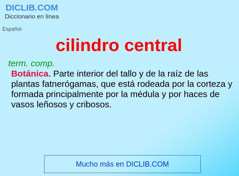 ¿Qué es cilindro central? - significado y definición