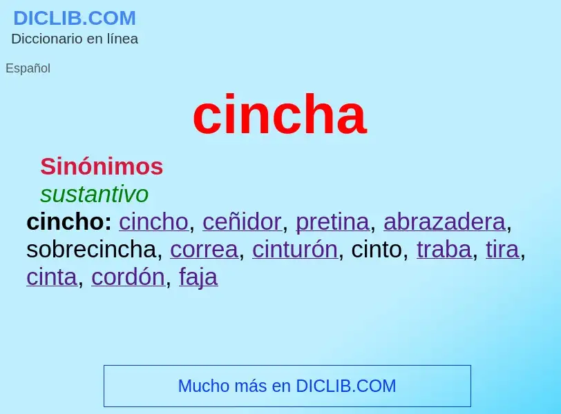 ¿Qué es cincha? - significado y definición