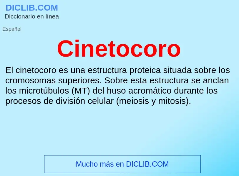 ¿Qué es Cinetocoro? - significado y definición