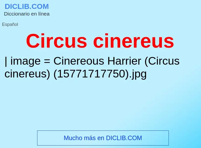 ¿Qué es Circus cinereus? - significado y definición