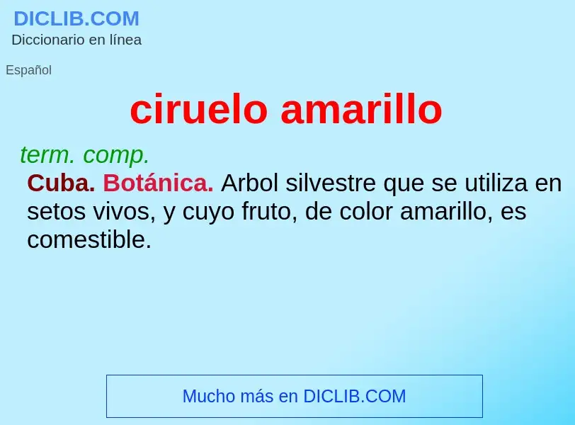 Wat is ciruelo amarillo - definition