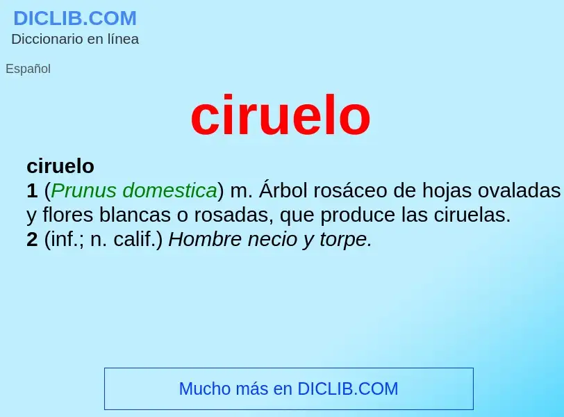 Was ist ciruelo - Definition