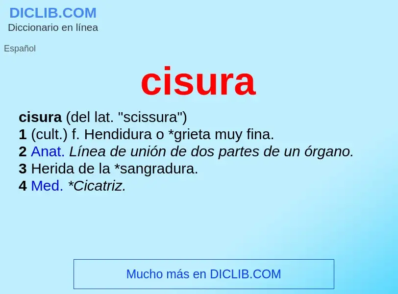 Was ist cisura - Definition