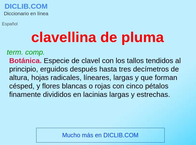 What is clavellina de pluma - meaning and definition