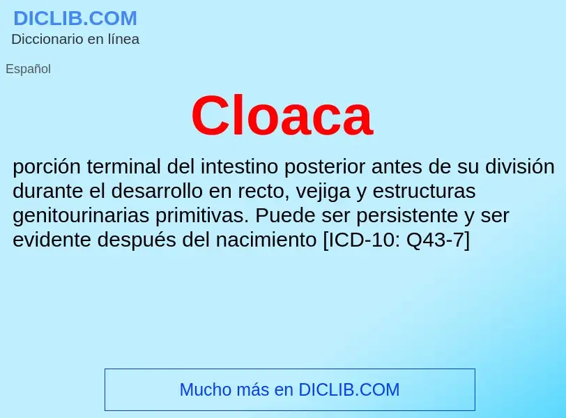 Wat is Cloaca - definition