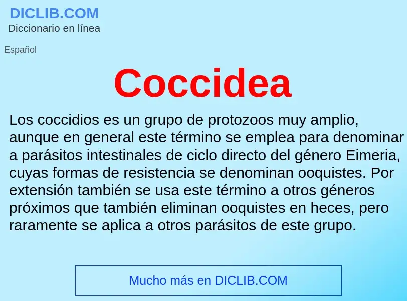 ¿Qué es Coccidea? - significado y definición