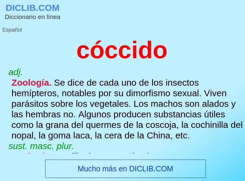 Was ist cóccido - Definition