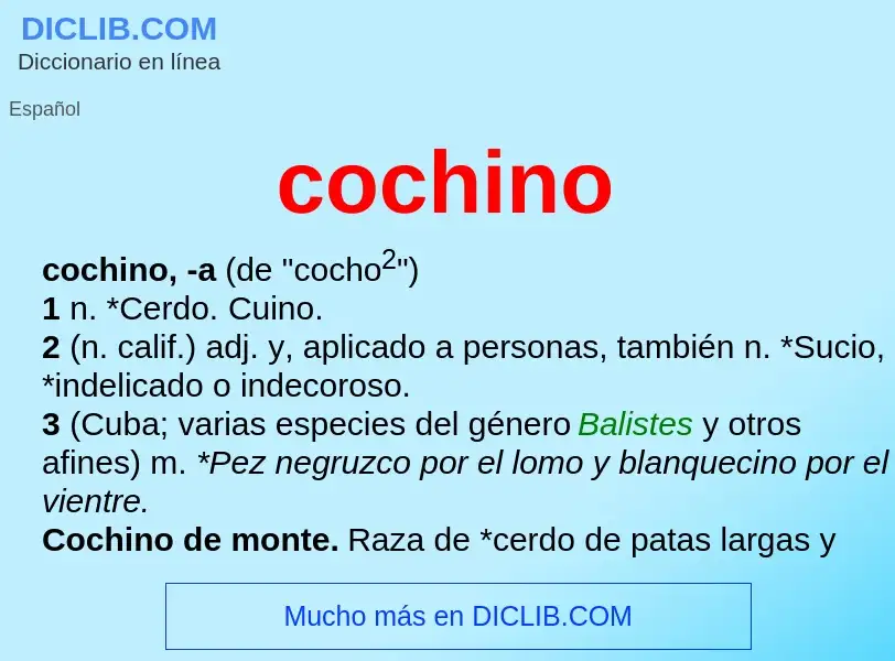 Che cos'è cochino - definizione