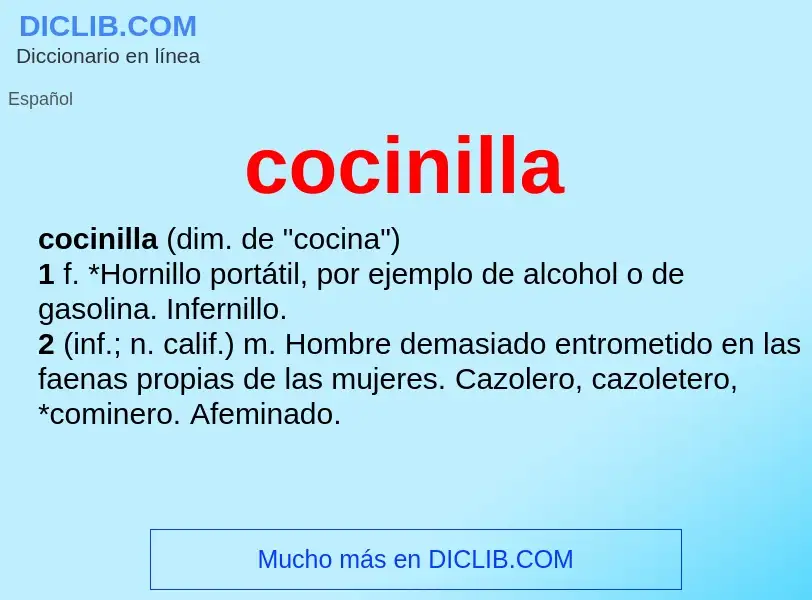 Wat is cocinilla - definition