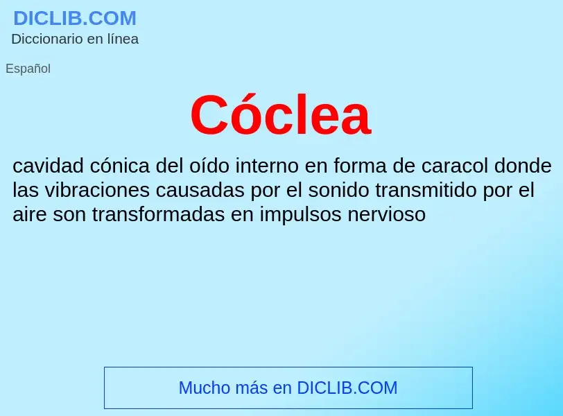 O que é Cóclea - definição, significado, conceito