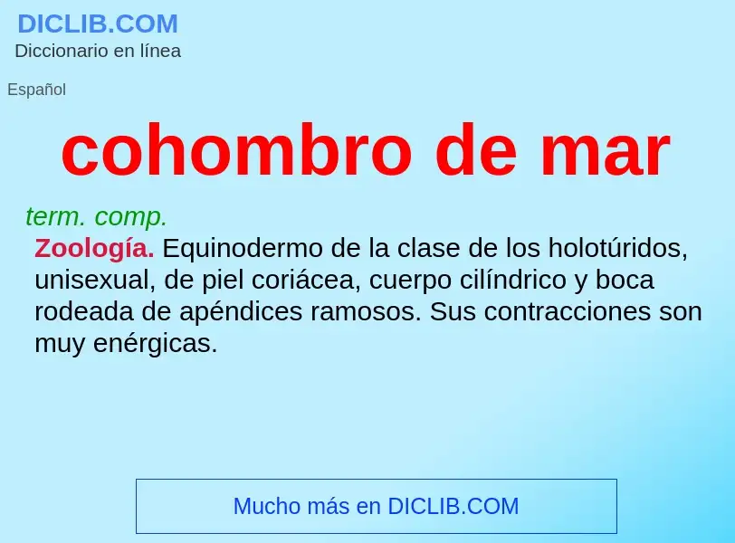 What is cohombro de mar - definition