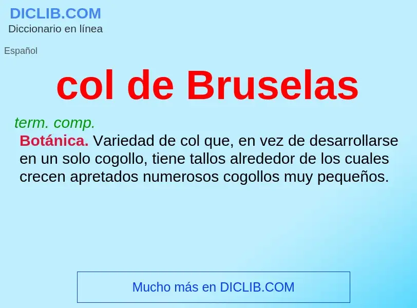 Was ist col de Bruselas - Definition