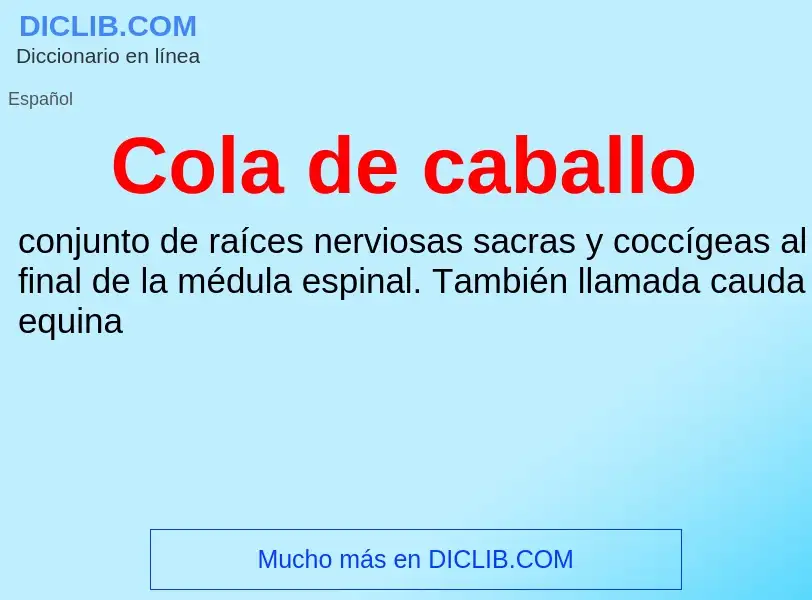 What is Cola de caballo - meaning and definition