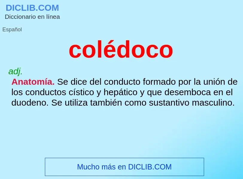 ¿Qué es colédoco? - significado y definición