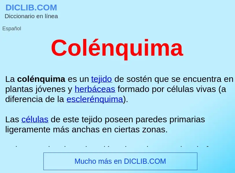 ¿Qué es Colénquima ? - significado y definición