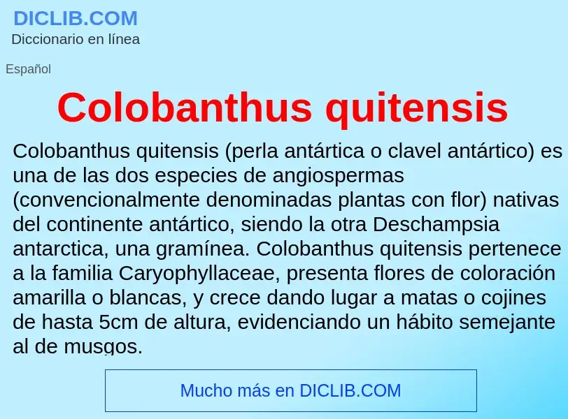 Что такое Colobanthus quitensis - определение