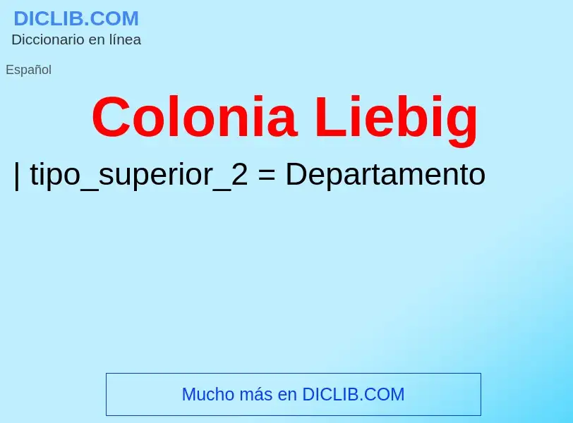 Was ist Colonia Liebig - Definition