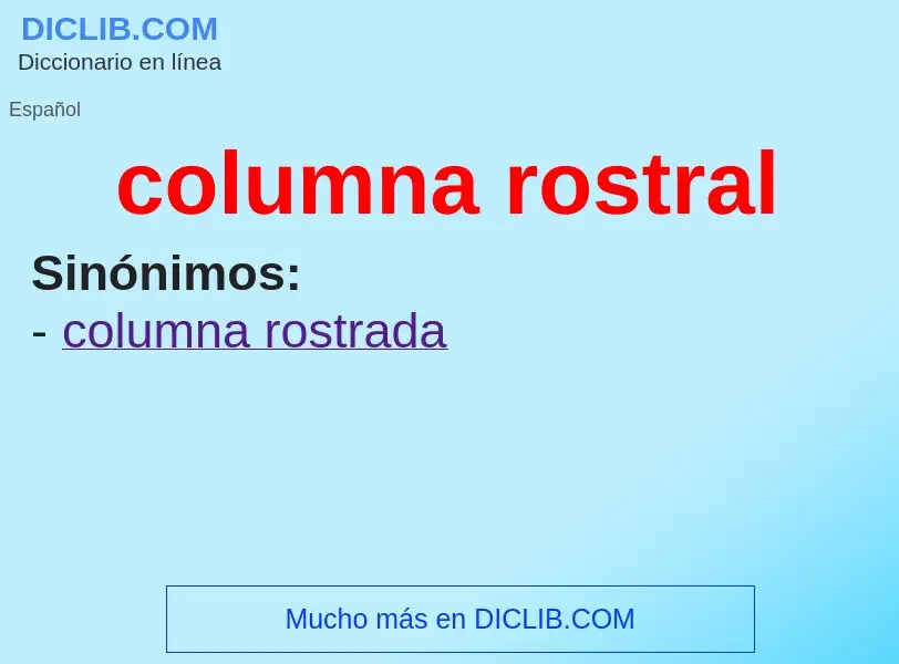 What is columna rostral - meaning and definition