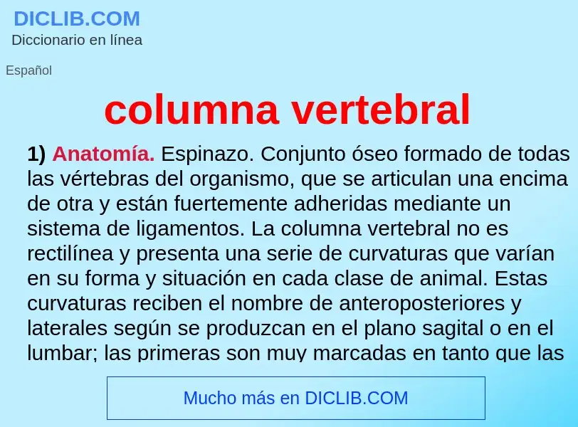 Wat is columna vertebral - definition