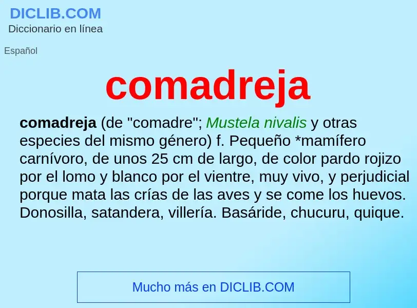 ¿Qué es comadreja? - significado y definición