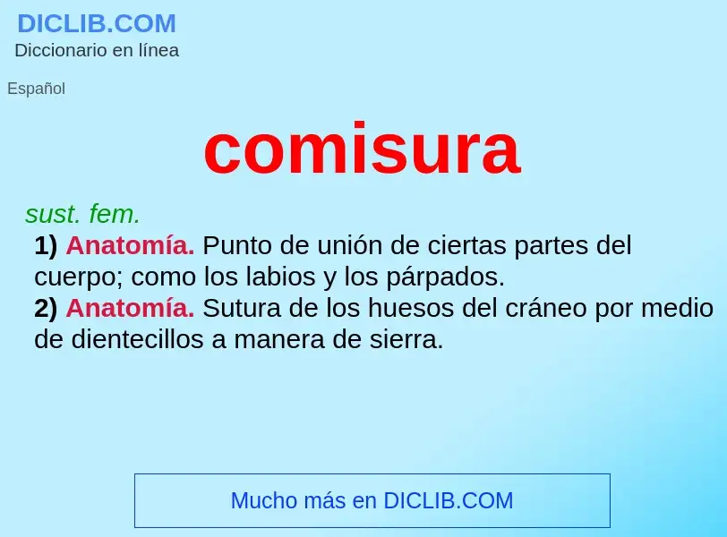 What is comisura - definition