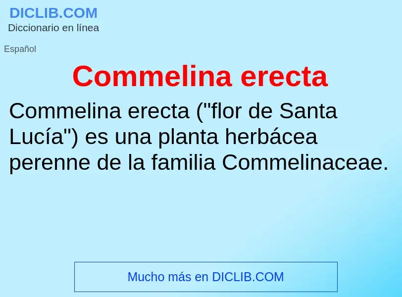 Was ist Commelina erecta - Definition