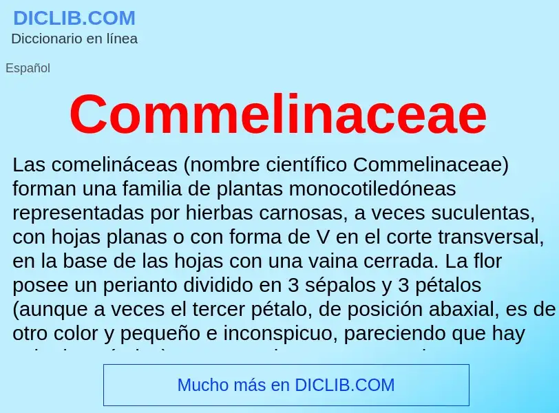 O que é Commelinaceae - definição, significado, conceito