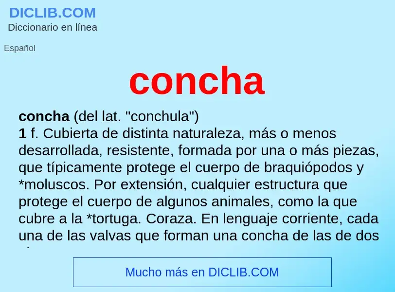 What is concha - meaning and definition