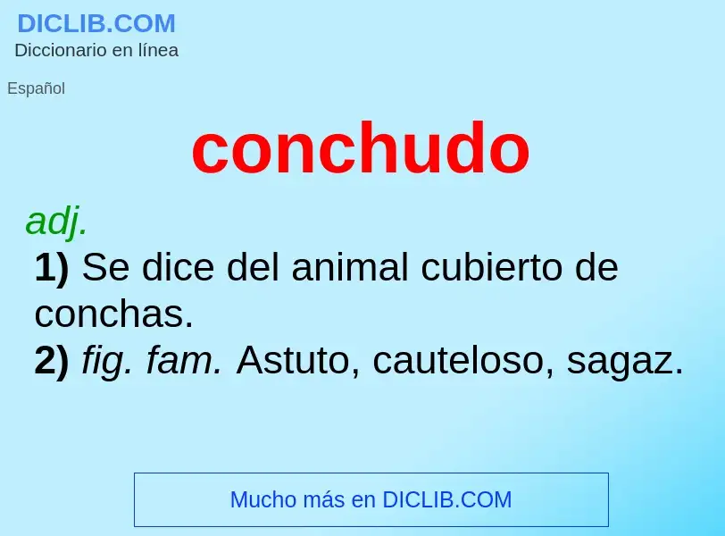 Wat is conchudo - definition