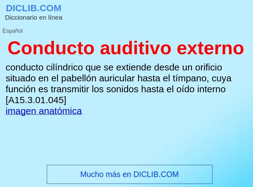 ¿Qué es Conducto auditivo externo? - significado y definición