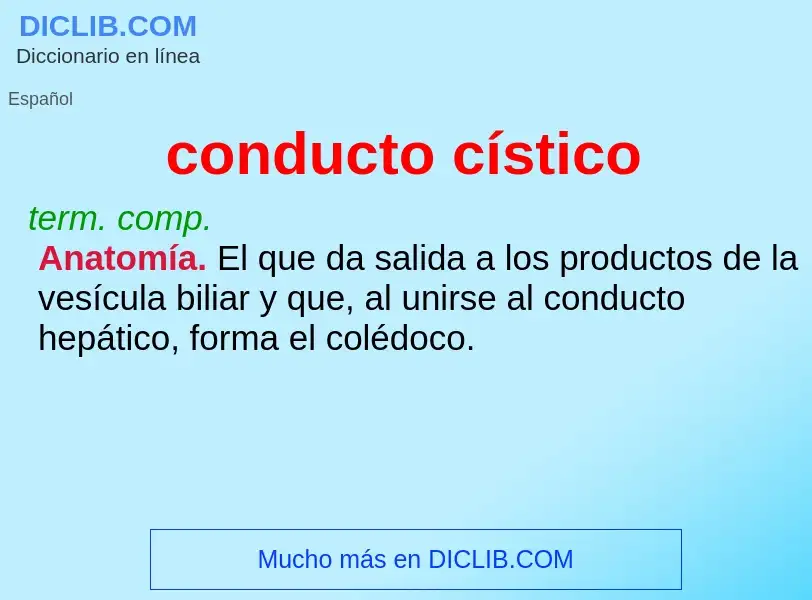 ¿Qué es conducto cístico? - significado y definición