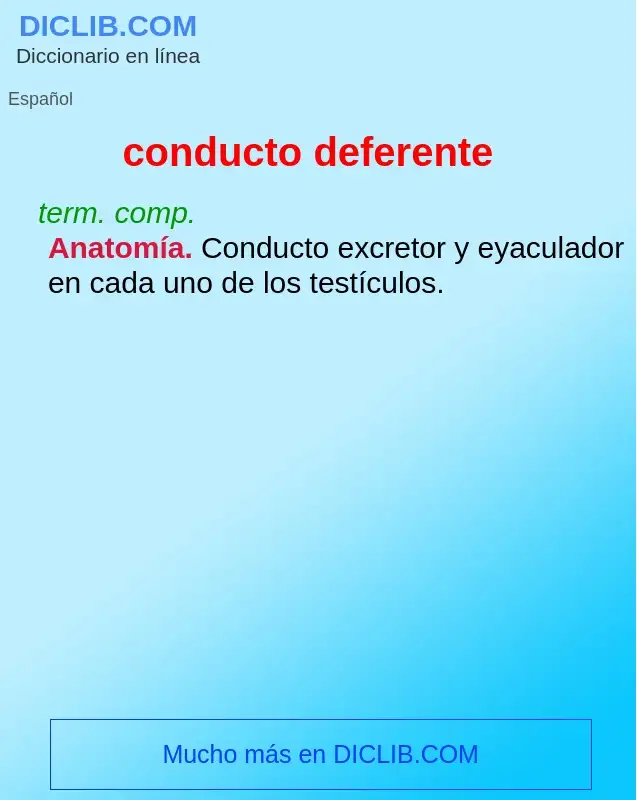 Что такое conducto deferente - определение