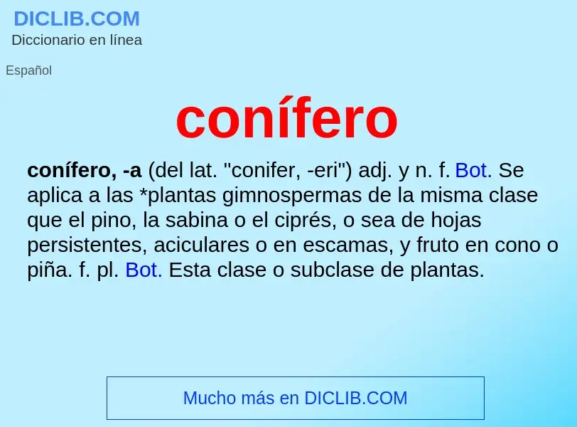 What is conífero - meaning and definition