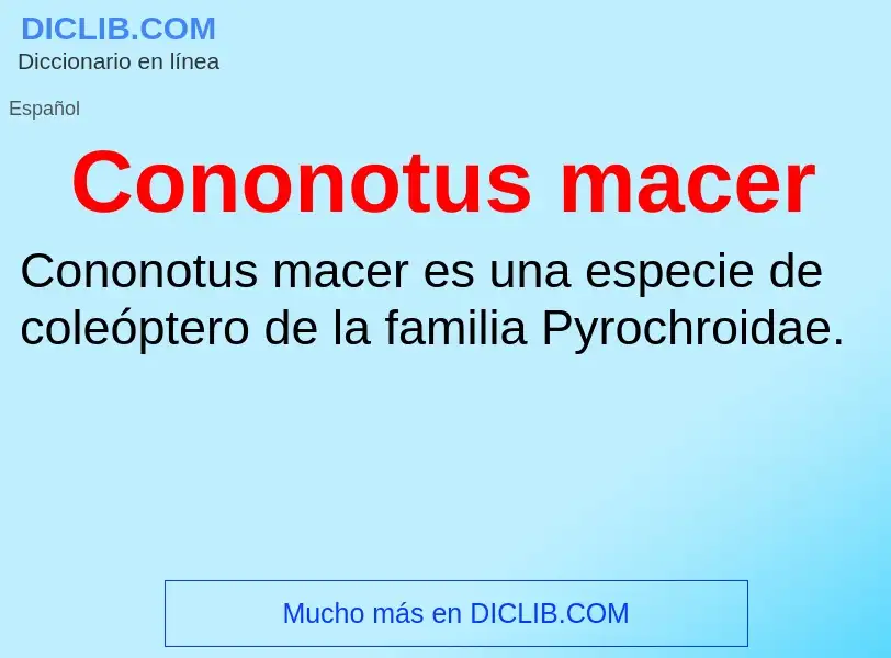 Что такое Cononotus macer - определение