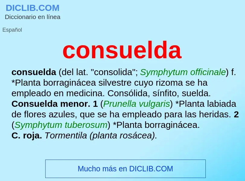 What is consuelda - meaning and definition