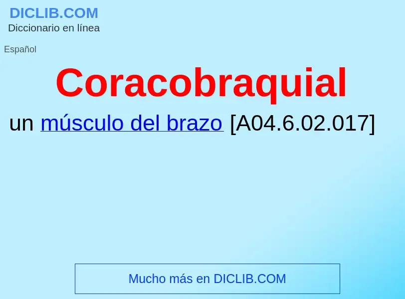 Wat is Coracobraquial - definition