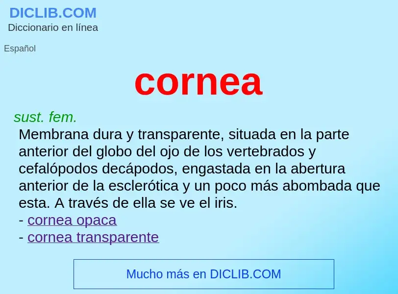 What is cornea - meaning and definition