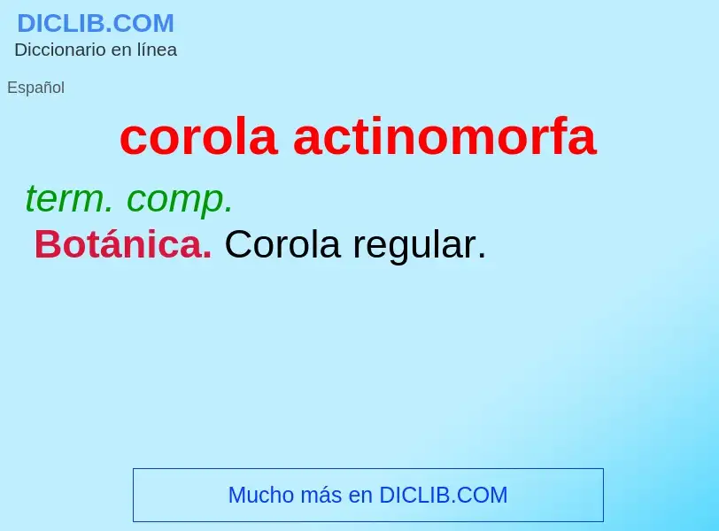 Was ist corola actinomorfa - Definition