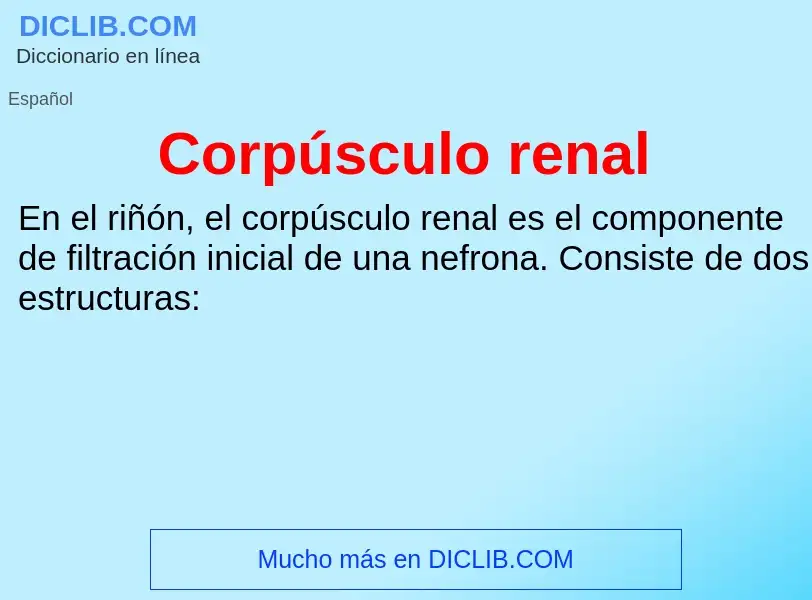 Che cos'è Corpúsculo renal - definizione